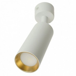 Светильник на штанге Feron ML1011 51380 в Салехарде - salekhard.ok-mebel.com | фото 9
