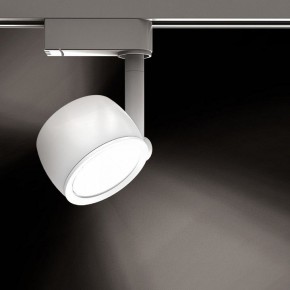 Светильник на штанге Gauss Track Light TR054 в Салехарде - salekhard.ok-mebel.com | фото 2