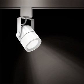 Светильник на штанге Gauss Track Light TR057 в Салехарде - salekhard.ok-mebel.com | фото 2