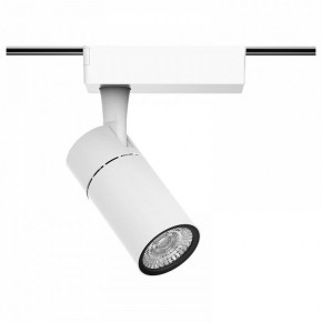 Светильник на штанге Gauss Track Light TR059 в Салехарде - salekhard.ok-mebel.com | фото