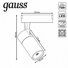 Светильник на штанге Gauss Track Light TR060 в Салехарде - salekhard.ok-mebel.com | фото 5