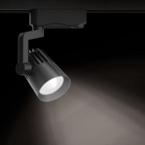 Светильник на штанге Gauss Track Light TR061 в Салехарде - salekhard.ok-mebel.com | фото 2