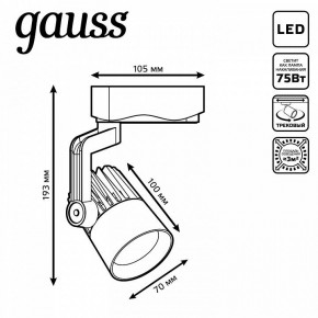 Светильник на штанге Gauss Track Light TR061 в Салехарде - salekhard.ok-mebel.com | фото 6