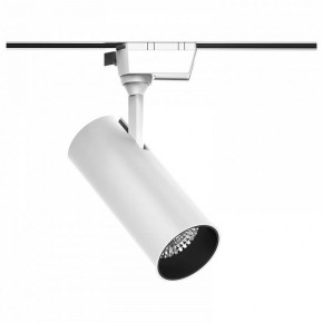 Светильник на штанге Gauss Track Light TR063 в Салехарде - salekhard.ok-mebel.com | фото