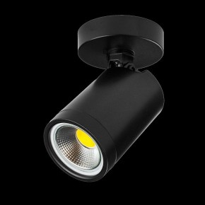 Светильник на штанге Lightstar Rullo 213407 в Салехарде - salekhard.ok-mebel.com | фото 2