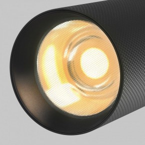 Светильник на штанге Maytoni Artisan TR097-2-12W2.7K-M-BB в Салехарде - salekhard.ok-mebel.com | фото 9