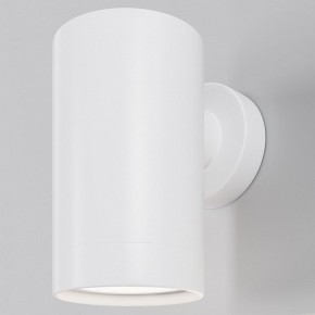 Светильник на штанге Maytoni Clyde O493WL-01W в Салехарде - salekhard.ok-mebel.com | фото