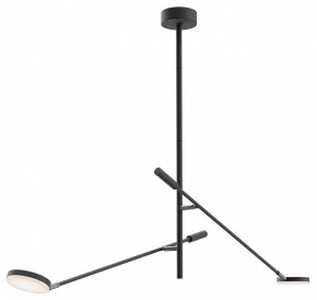 Светильник на штанге Maytoni Fad MOD070CL-L15B3K1 в Салехарде - salekhard.ok-mebel.com | фото