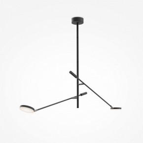Светильник на штанге Maytoni Fad MOD070CL-L15B3K1 в Салехарде - salekhard.ok-mebel.com | фото 3
