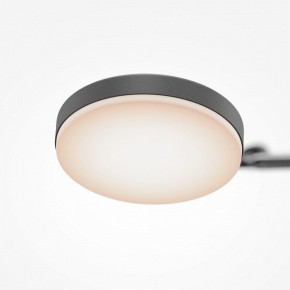 Светильник на штанге Maytoni Fad MOD070CL-L15B3K1 в Салехарде - salekhard.ok-mebel.com | фото 7