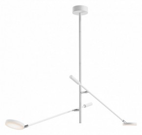 Светильник на штанге Maytoni Fad MOD070CL-L15W3K1 в Салехарде - salekhard.ok-mebel.com | фото