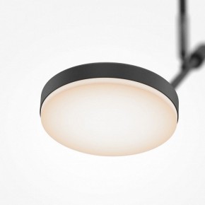 Светильник на штанге Maytoni Fad MOD070CL-L8B3K в Салехарде - salekhard.ok-mebel.com | фото 4