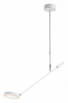 Светильник на штанге Maytoni Fad MOD070CL-L8W3K в Салехарде - salekhard.ok-mebel.com | фото