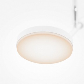 Светильник на штанге Maytoni Fad MOD070CL-L8W3K в Салехарде - salekhard.ok-mebel.com | фото 4
