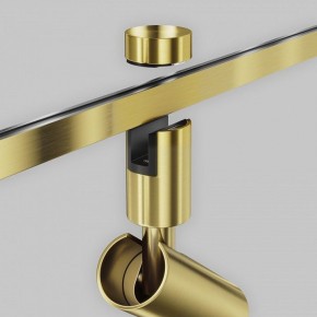 Светильник на штанге Maytoni Focus Led TR144-1-12W3K-W-BS в Салехарде - salekhard.ok-mebel.com | фото 7