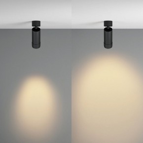 Светильник на штанге Maytoni Focus Zoom C055CL-L12W2.7K-Z-B в Салехарде - salekhard.ok-mebel.com | фото 3