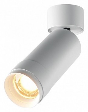 Светильник на штанге Maytoni Focus Zoom C055CL-L12W2.7K-Z-W в Салехарде - salekhard.ok-mebel.com | фото