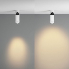 Светильник на штанге Maytoni Focus Zoom C055CL-L12W2.7K-Z-W в Салехарде - salekhard.ok-mebel.com | фото 3