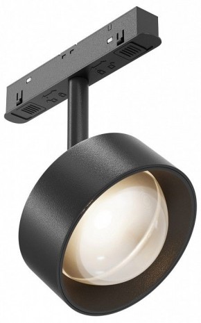 Светильник на штанге Maytoni Lens TR217-2-15W3K-B в Салехарде - salekhard.ok-mebel.com | фото