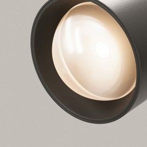 Светильник на штанге Maytoni Lens TR217-2-15W3K-B в Салехарде - salekhard.ok-mebel.com | фото 12