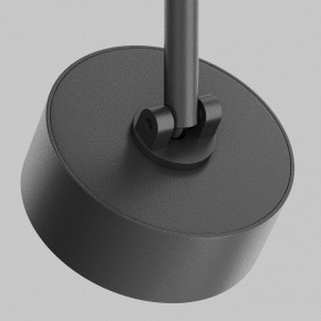 Светильник на штанге Maytoni Lens TR217-4-15WTW-DD-B в Салехарде - salekhard.ok-mebel.com | фото 11