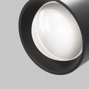 Светильник на штанге Maytoni Lens TR217-4-15WTW-DD-B в Салехарде - salekhard.ok-mebel.com | фото 12