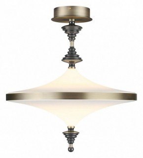 Светильник на штанге Odeon Light Ula 5404/43CL в Салехарде - salekhard.ok-mebel.com | фото 2