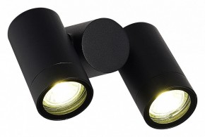 Светильник на штанге ST-Luce Ecollo SL9011.402.02 в Салехарде - salekhard.ok-mebel.com | фото 3