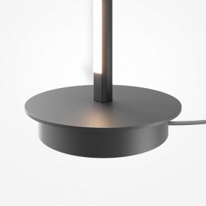 Торшер Maytoni Thin MOD395FL-L28B3K в Салехарде - salekhard.ok-mebel.com | фото 8