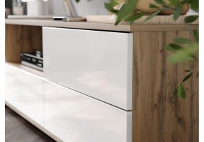 Тумба под ТВ Маллоу в Салехарде - salekhard.ok-mebel.com | фото 4