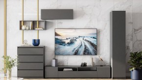 Тумба под ТВ Сибити в Салехарде - salekhard.ok-mebel.com | фото 3