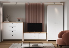 Тумба под ТВ Теодора в Салехарде - salekhard.ok-mebel.com | фото 4
