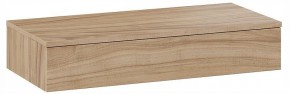 Тумбочка навесная ТД-102.08.02 в Салехарде - salekhard.ok-mebel.com | фото 3