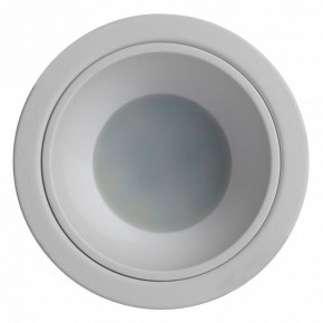 Встраиваемый светильник Feron DL3102 51398 в Салехарде - salekhard.ok-mebel.com | фото 2