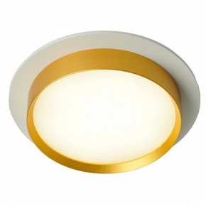 Встраиваемый светильник Feron DL507 51354 в Салехарде - salekhard.ok-mebel.com | фото 3