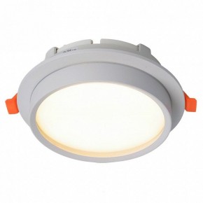 Встраиваемый светильник Feron DL704 51105 в Салехарде - salekhard.ok-mebel.com | фото 2